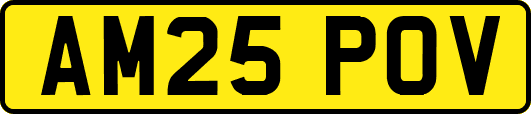 AM25POV