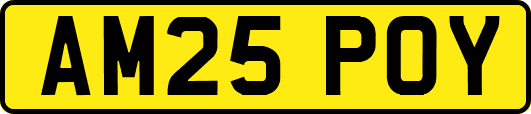 AM25POY