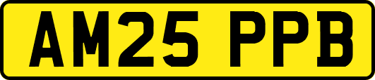 AM25PPB