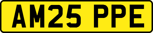 AM25PPE