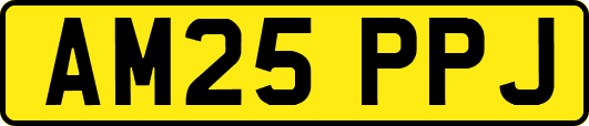 AM25PPJ