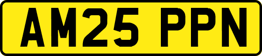 AM25PPN