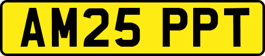 AM25PPT