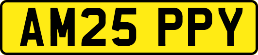 AM25PPY