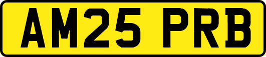AM25PRB