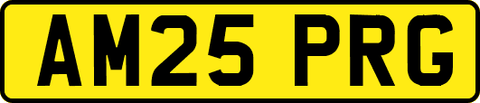 AM25PRG