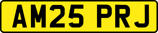 AM25PRJ