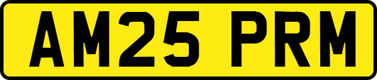 AM25PRM