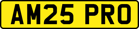 AM25PRO
