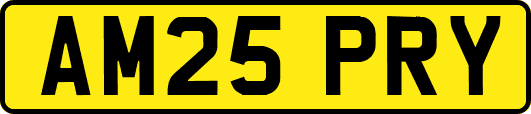 AM25PRY