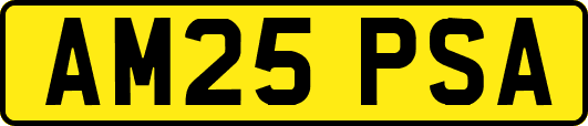 AM25PSA