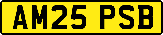 AM25PSB