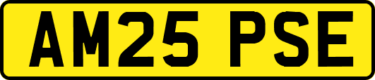 AM25PSE