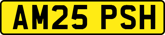AM25PSH