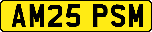 AM25PSM