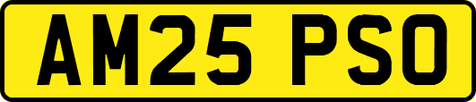 AM25PSO