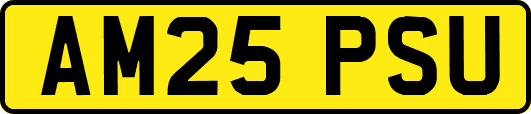 AM25PSU