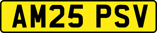 AM25PSV