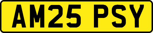 AM25PSY