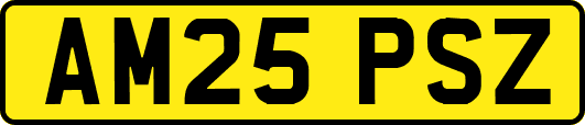 AM25PSZ