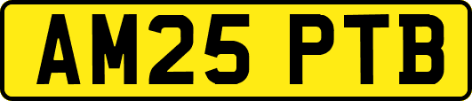 AM25PTB