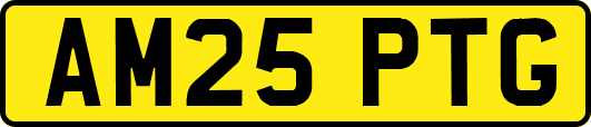 AM25PTG