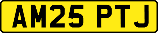 AM25PTJ