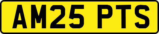 AM25PTS
