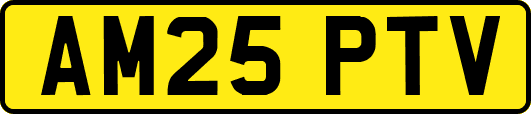AM25PTV