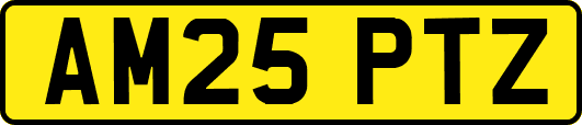 AM25PTZ