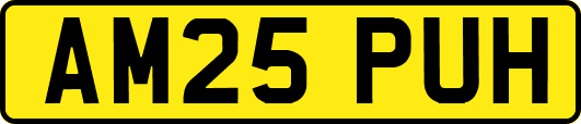 AM25PUH