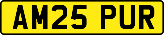 AM25PUR