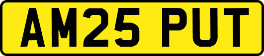 AM25PUT