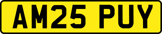 AM25PUY