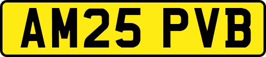 AM25PVB