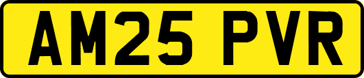 AM25PVR