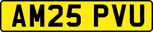 AM25PVU