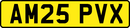 AM25PVX