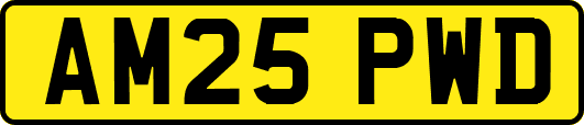 AM25PWD