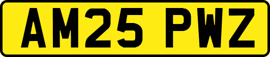 AM25PWZ