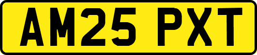 AM25PXT