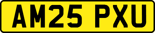 AM25PXU