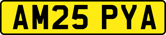 AM25PYA