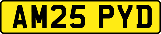 AM25PYD