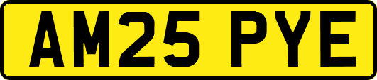 AM25PYE