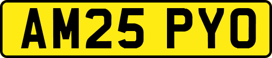 AM25PYO