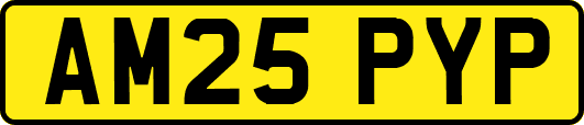 AM25PYP