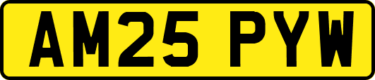 AM25PYW