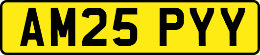 AM25PYY