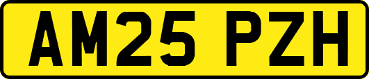 AM25PZH